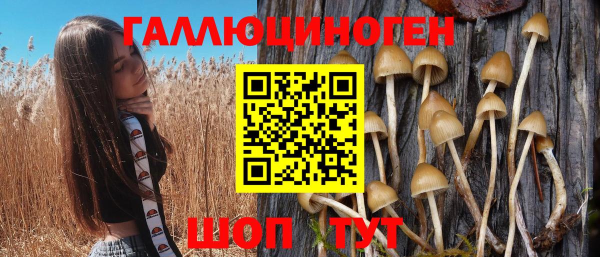 Псилоцибиновые грибы Cubensis Анапа