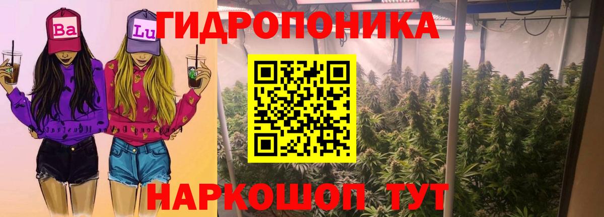 Конопля Ganja Анапа